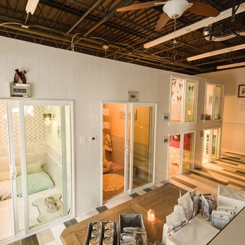 life of riley pet hotel & spa