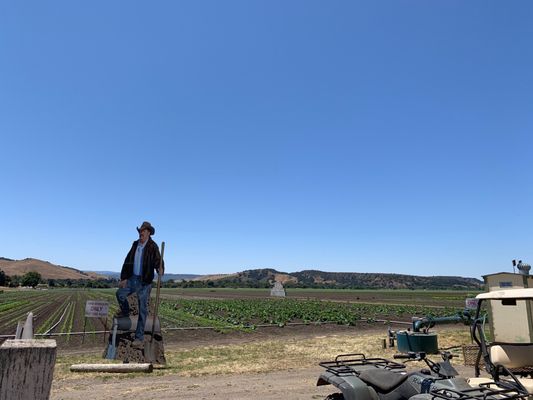 The Farm in Salinas by null