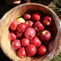 Photo of Third Street Apples