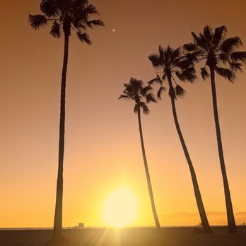 Venice Beach Bike Path - Bikes Near Me - Los Angeles, California