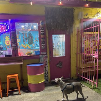The Dog Bar - literally obsessed with - Dog Parks Near Me - Houston, Texas The Dog Bar - literally obsessed with - Dog Parks Near Me - Houston, Texas