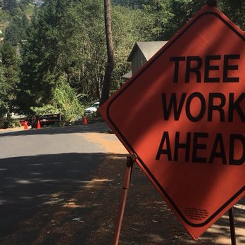 Holcomb Timber & Tree Services - Tree Services Near Me - Springfield, Oregon Holcomb Timber & Tree Services - Tree Services Near Me - Springfield, Oregon