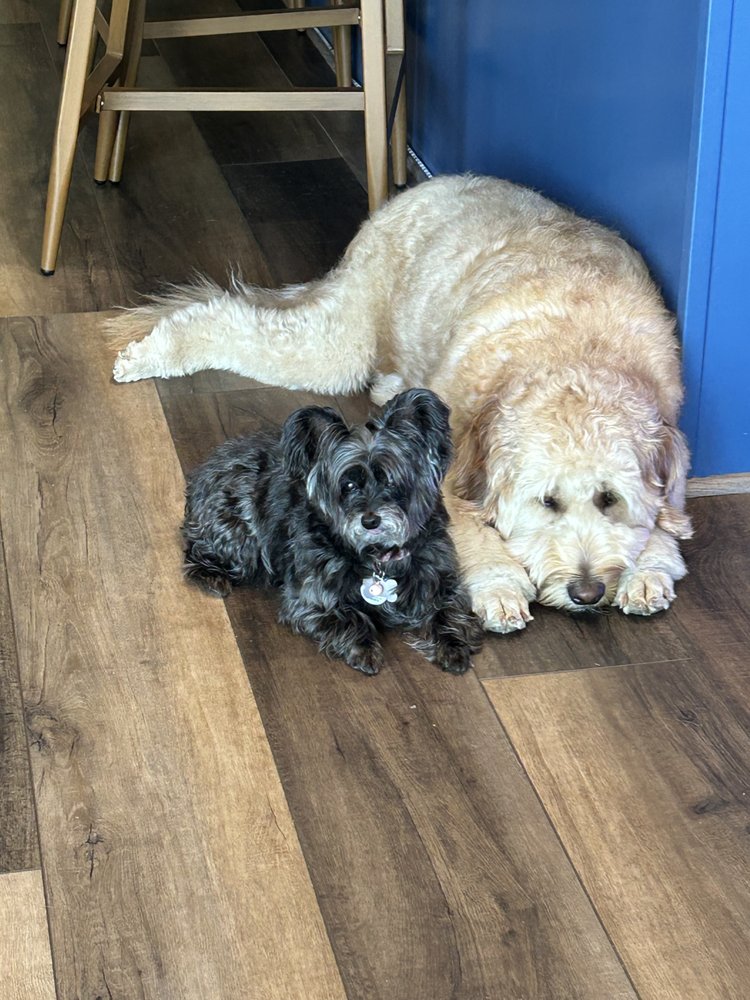 WOOF AU PAIR Updated August 2024 Request Information 5730 Aspen