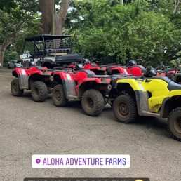 The ATVs The ATVs