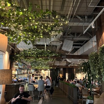 Aba - Mediterranean Near Me - Chicago, Illinois