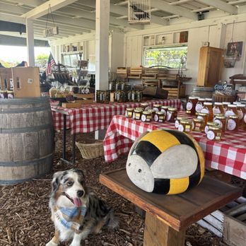 Summerset Farm - Farmers Market Near Me - Santa Ynez, California Summerset Farm - Farmers Market Near Me - Santa Ynez, California