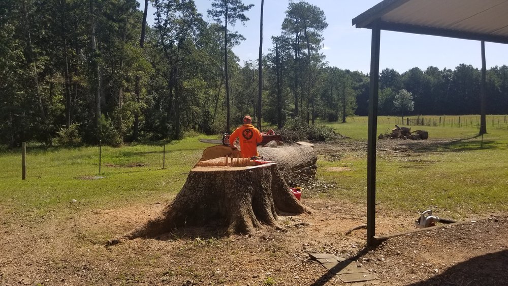 ARBOR TECH TREE CARE - Updated November 2024 - 413 Oakland Ln, Conroe ...