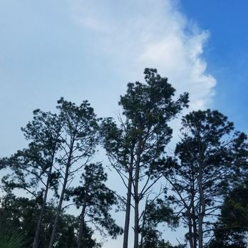 Radical Ropes - Challenge Courses Near Me - Myrtle Beach, South Carolina Radical Ropes - Challenge Courses Near Me - Myrtle Beach, South Carolina