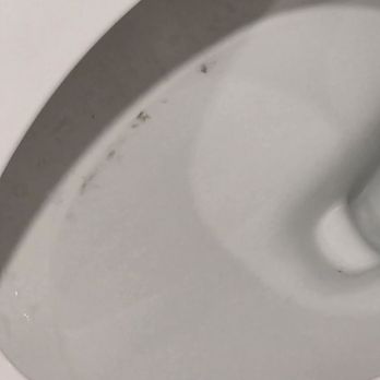 Springhill Suites By Marriott - Dirty toilet - Hotels Near Me - Ponderay, Idaho