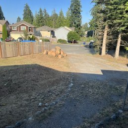 Two for trees- GONE. Stumps and all. Two for trees- GONE. Stumps and all.