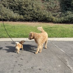 South Buena Vista Park - Keke with a new furry friend.