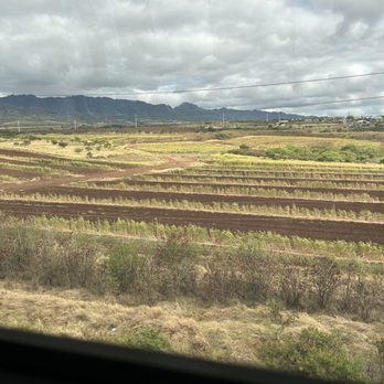 Honolulu Skyline - Honouliuli Station - Aloun Farms & farmland - Trains Near Me - Aiea, Hawaii
