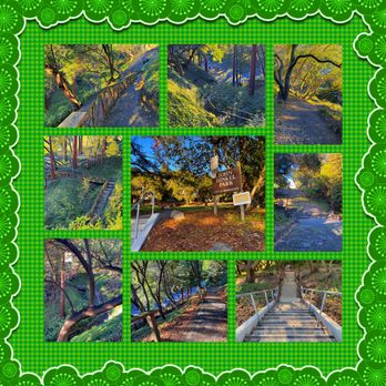 John Hinkel Park - Montage of images from John Hinkel Park - Parks Near Me - Berkeley, California