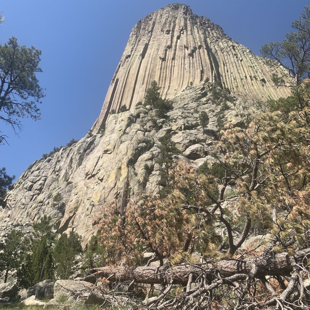 Devil’s Tower National Monument - Parks Near Me - Devils Tower, Wyoming Devil’s Tower National Monument - Parks Near Me - Devils Tower, Wyoming