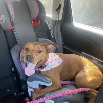 My Dog’s Spaw - Pet Groomers Near Me - Norco, California