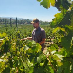 Sunrider Wine Tours - Travis from Sunrider