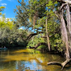 Must See Florida Paddle Tours - Yes, you can swim! There are shallower areas to jump in if you would prefer on some of our tours. Fun for all ages and family-friendly.