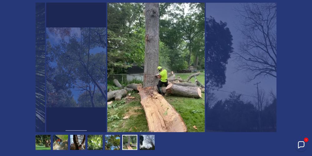 CANOPY TREE CARE PROFESSIONALS Updated September 2024 10 Photos