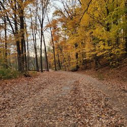 The Riverwood Conservancy