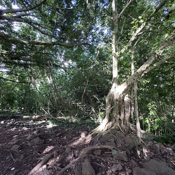 Pipiwai Trail - Hiking Near Me - Hana,, Hawaii