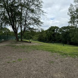 The "large dog" side of the dog park The "large dog" side of the dog park