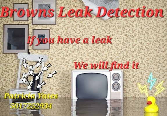 Leak Detection Quotes - Arkansas mort cost effective leak detection service. Call us today!