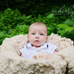 Whirlygig Photography