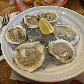 Iguanas - Oysters - Seafood Near Me - St. Simons, Georgia