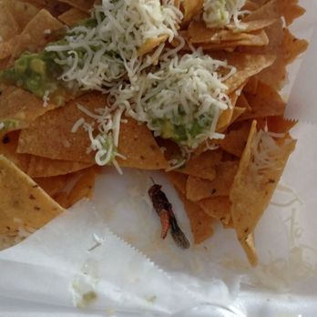 Cotija's Taco Shop - Mexican Near Me - Murrieta, California