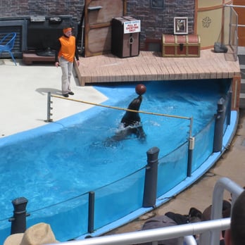 Sea Lions Live - Performing Arts Near Me - San Diego, California Sea Lions Live - Performing Arts Near Me - San Diego, California