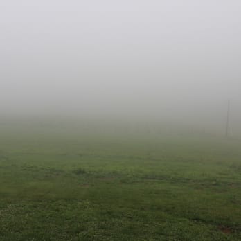 Dirt Farm Brewing - View downhill from the patio - in the clouds! - Breweries Near Me - Bluemont, Virginia