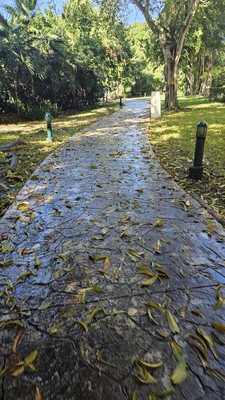 Occidental at Xcaret Destination by null