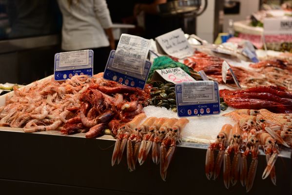 Mercado Central de Abastos de Cádiz by null