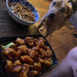 Peking House - S1. General Tso's Chicken w/ 32.Plain Lo Mein Ft professional beggar.