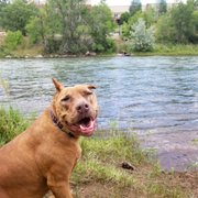 Petsense Pet Groomers 1185 S Camino Del Rio Durango Co