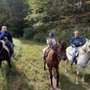 Photo of Serene Horse Ranch