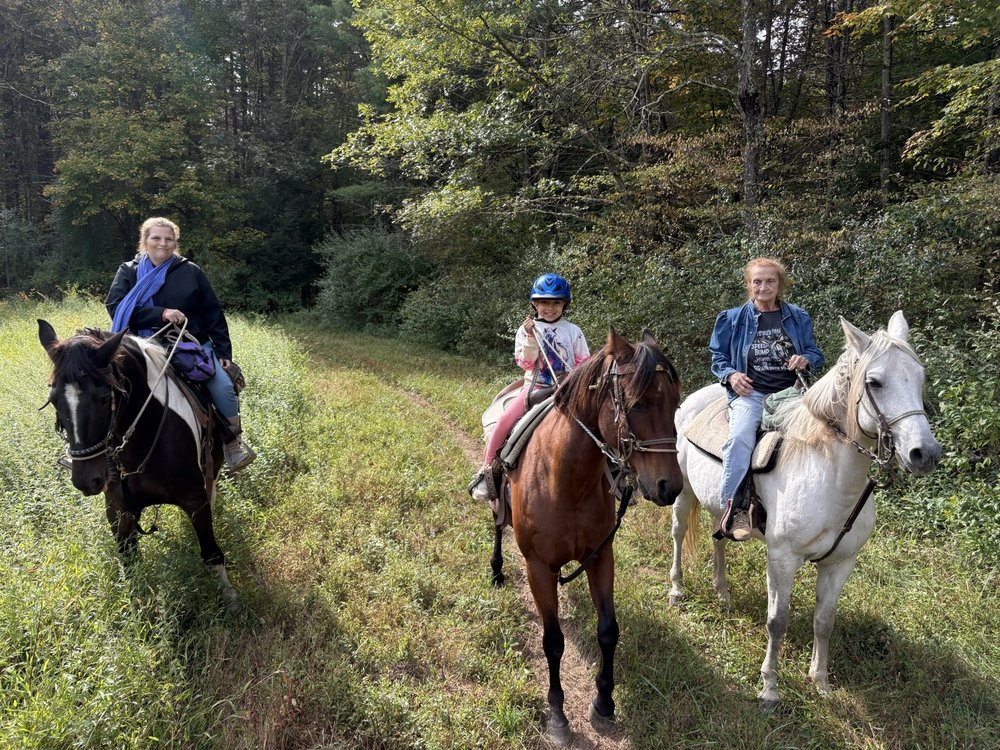 Serene Horse Ranch Logo