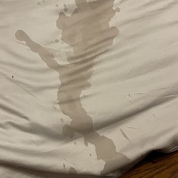 Nice stain right?
