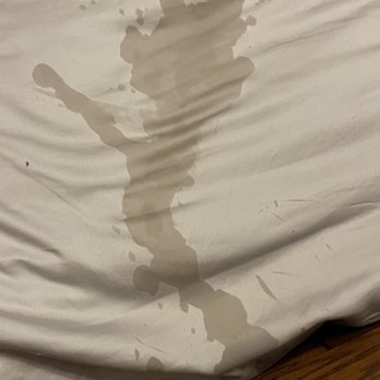 PetSmart Dog Training - Nice stain right? - Pet Stores Near Me - Bethlehem, Georgia