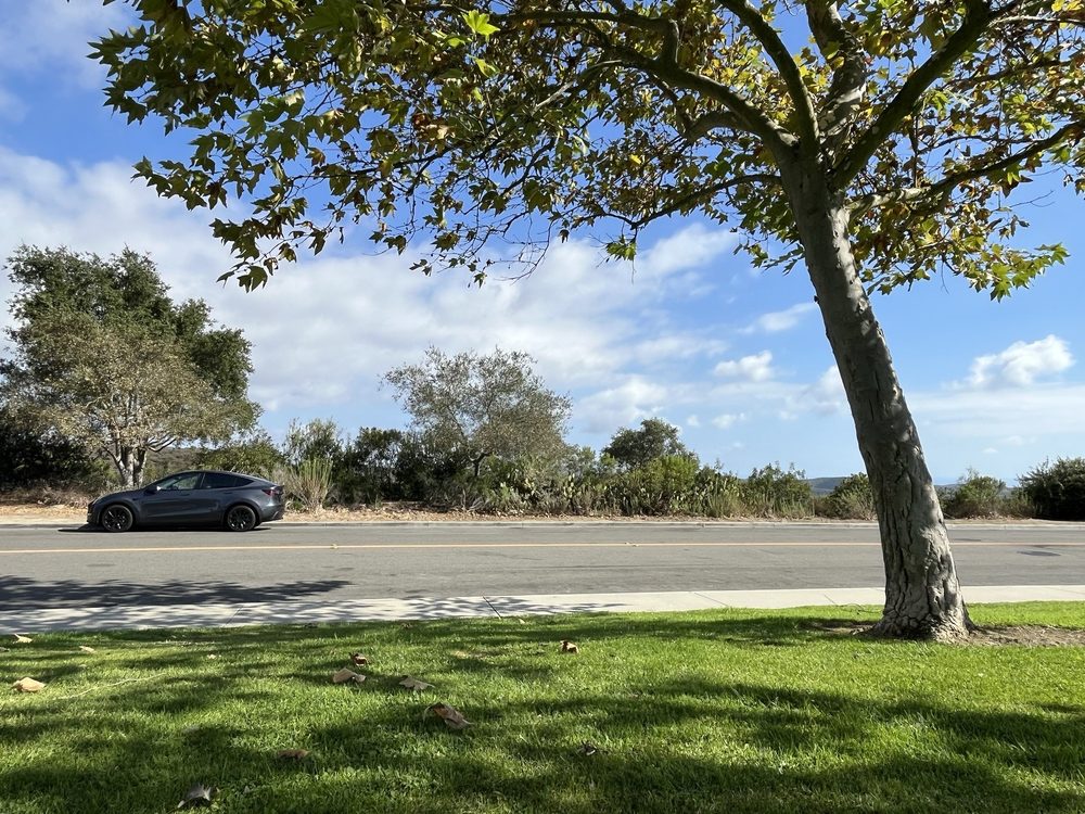 PACIFIC RIDGE TRAILHEAD - Updated January 2026 - 126 Photos & 40 ...