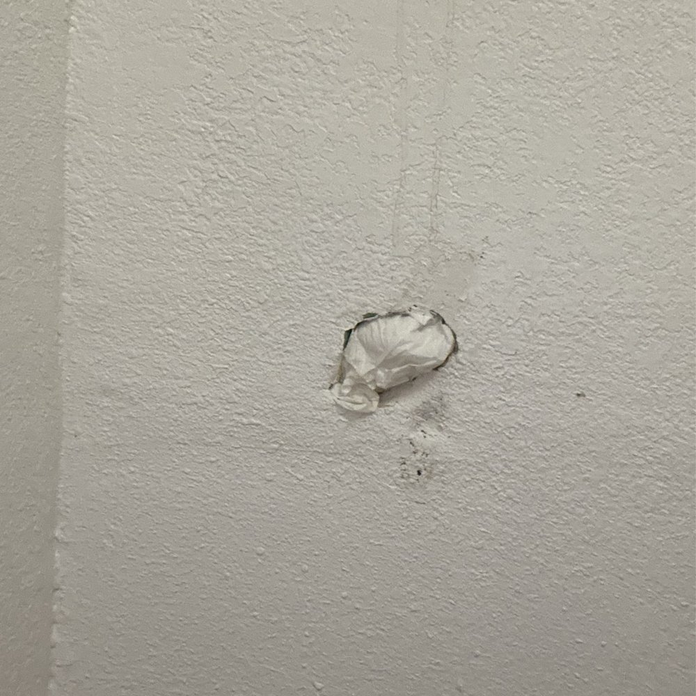 A hole in the wall in the bathroom that was not repaired correctly, all they did was shove a piece of toilet paper to cover the hole.