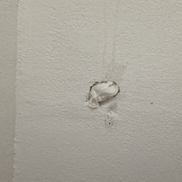 A hole in the wall in the bathroom that was not repaired correctly, all they did was shove a piece of toilet paper to cover the hole.