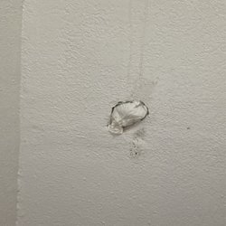 Motel 6 - A hole in the wall in the bathroom that was not repaired correctly, all they did was shove a piece of toilet paper to cover the hole.