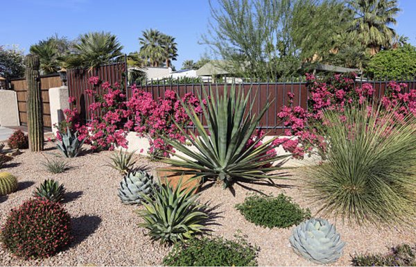 Landscaping - Landscaping boosts curb appeal! We bring passion and care along with excellent technique that is executed with your vision! Landscaping - Landscaping boosts curb appeal! We bring passion and care along with excellent technique that is executed with your vision!