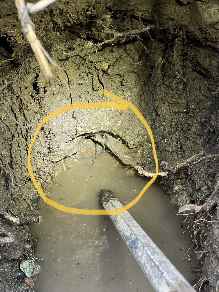 Slide of Septic Response