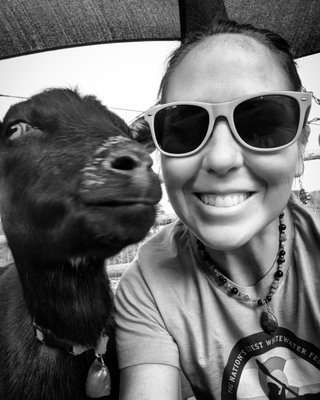 Vail Stables by null