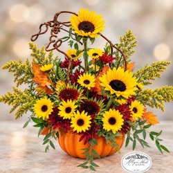 Allegan Floral and Gifts