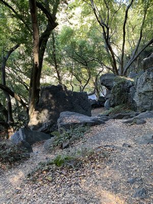 Salmon Creek Falls by null