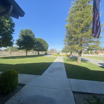 Cal State Tree Service - AFTER - Tree Services Near Me - Bakersfield, California Cal State Tree Service - AFTER - Tree Services Near Me - Bakersfield, California