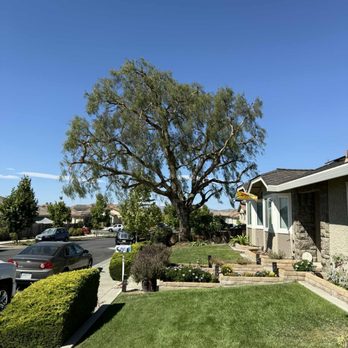 1. Guerreros Tree Service